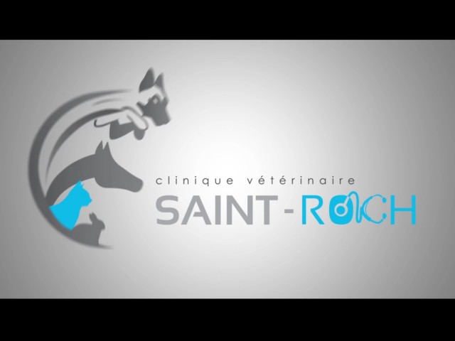 Clinique Saint Roch